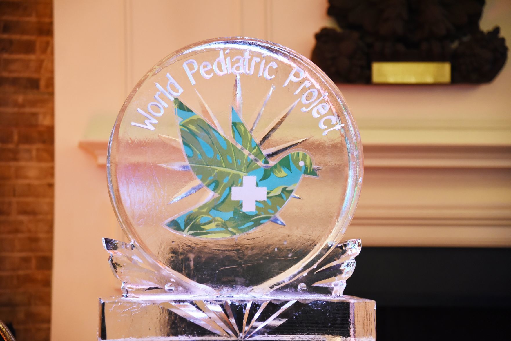 World Pediatric Project Treasures in Paradise